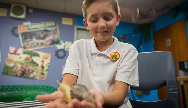 Interactive School Trips