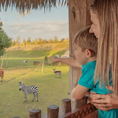 Chessington Zoo Hotel