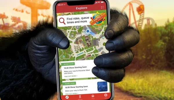 App ad - Square
