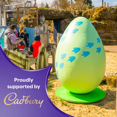 New Easter Egg Cadbury 01
