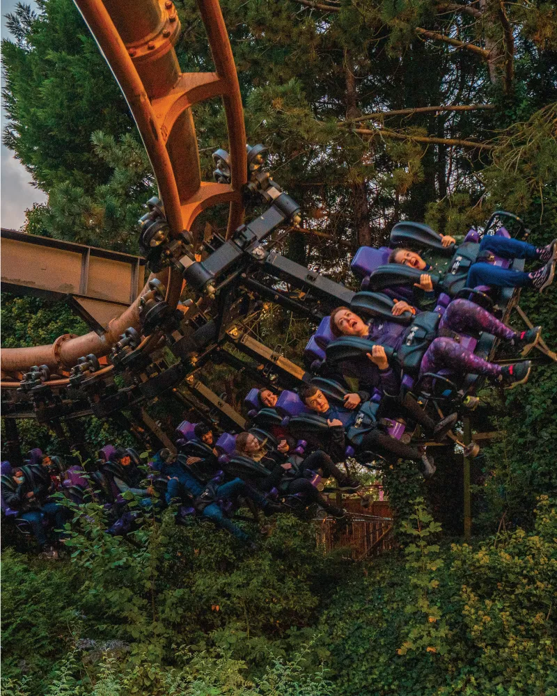Vampire at Chessington World of Adventures Resort 