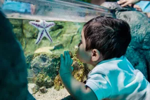 Chessington Family Aquarium