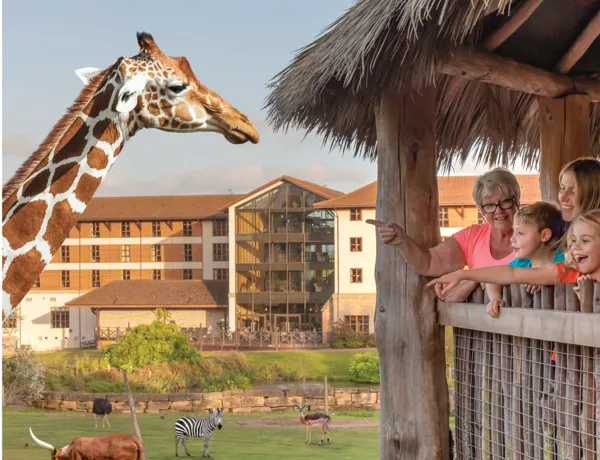 Family pointing at a giraffe at Chessington World of Adventures Resort