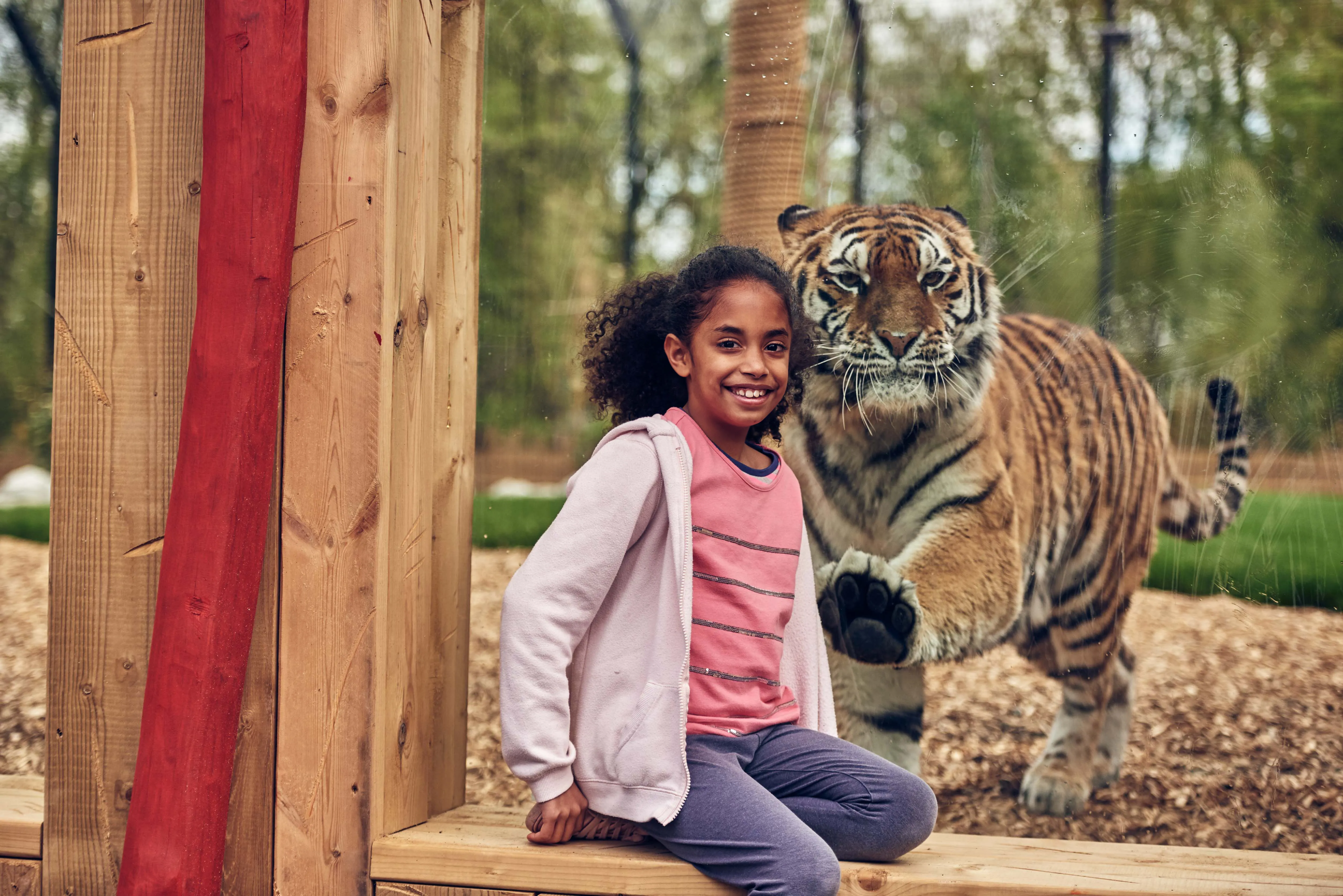 BUCK Land Tigers 41 Edited