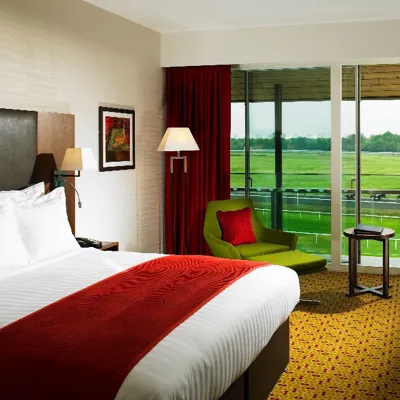 King Guest Room