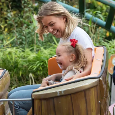 Griffin's Galleon Family Theme Park Ride