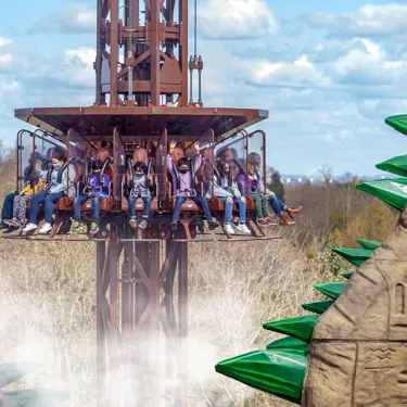 Family Theme Park Ride