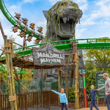 Mandrill Mayhem Ride Tile 600X345px 01
