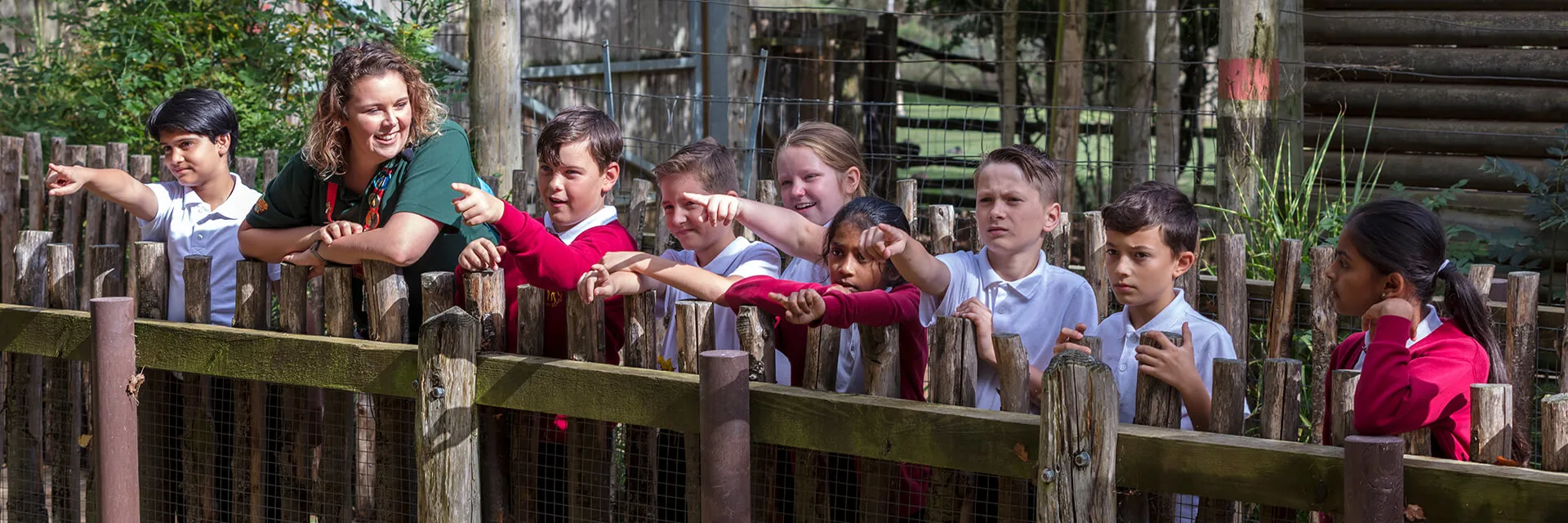 School children looking at animals at Chessington World of Adventures Resort 