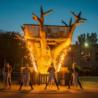 Banyan: The Final Flame