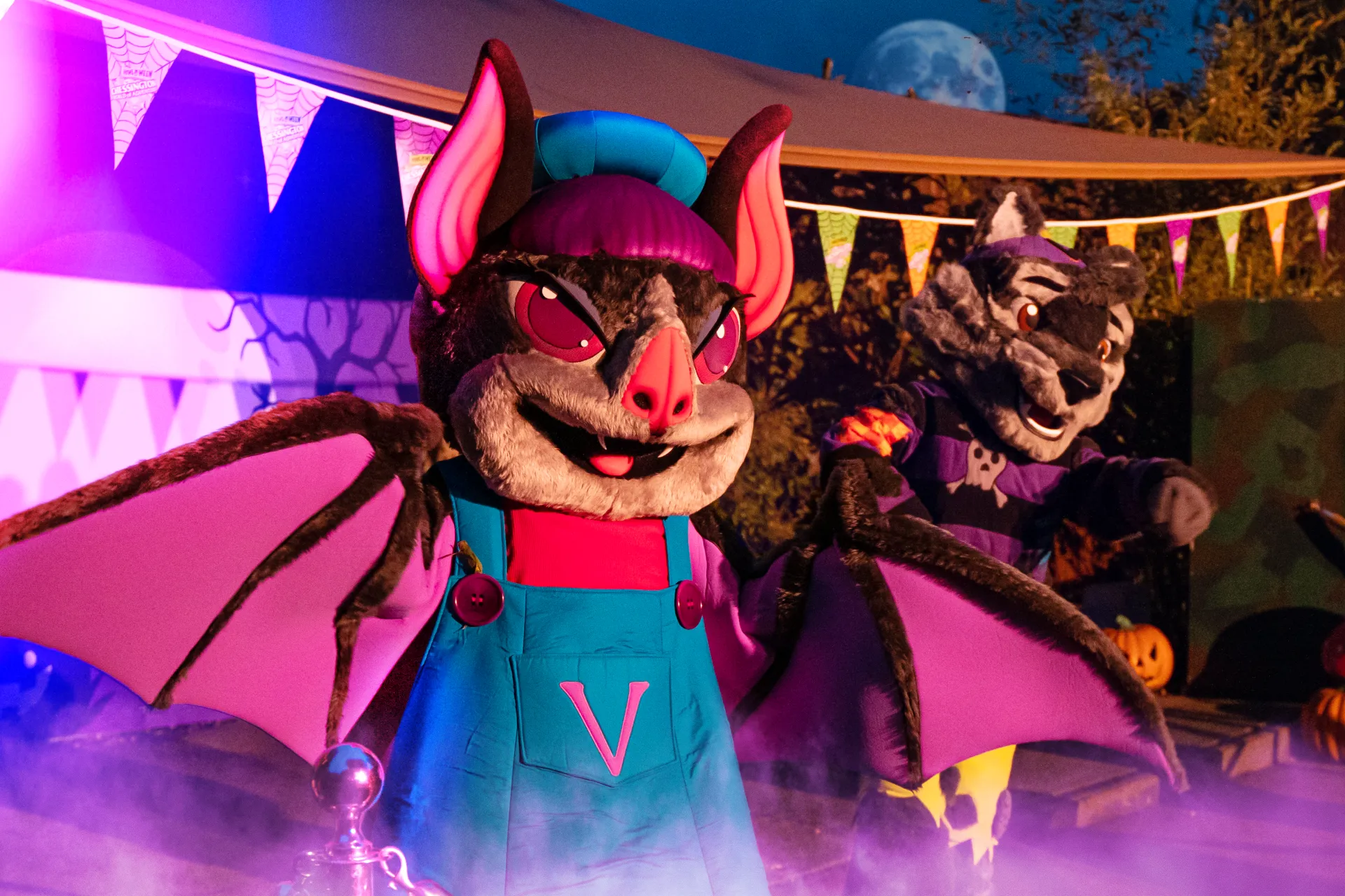 Violet The Vampire Bat And Wilf The Werewolf