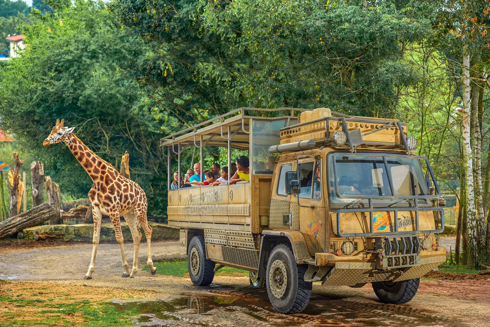 Families looking at a giraffe from a ZUFARI truck at Chessington World of Adventures