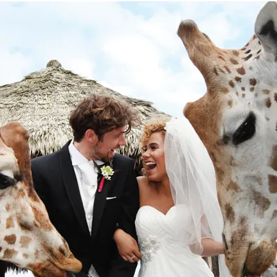 Bride and Groom in between giraffes at Chessington World of Adventures Resort