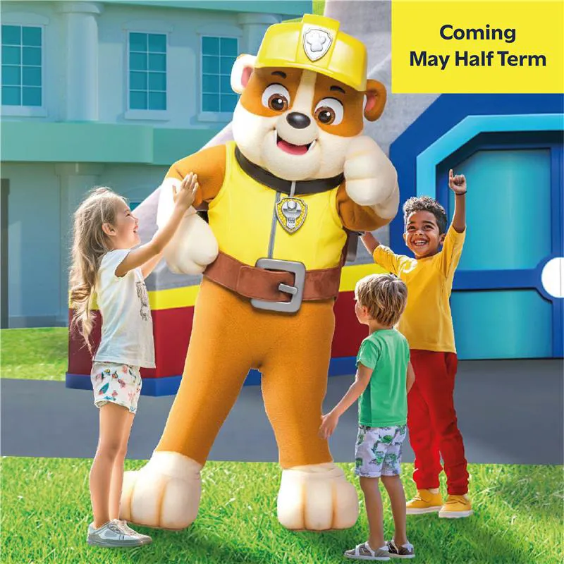 CW25 045 PAW PATROL WEB PAGE Rubble With Text Pups At Play PP Page Square 1