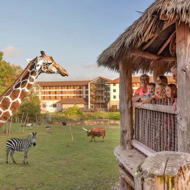 Chessington Zoo Giraffe Encounter