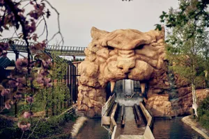 Tiger Rock Ride Image 3 (3)