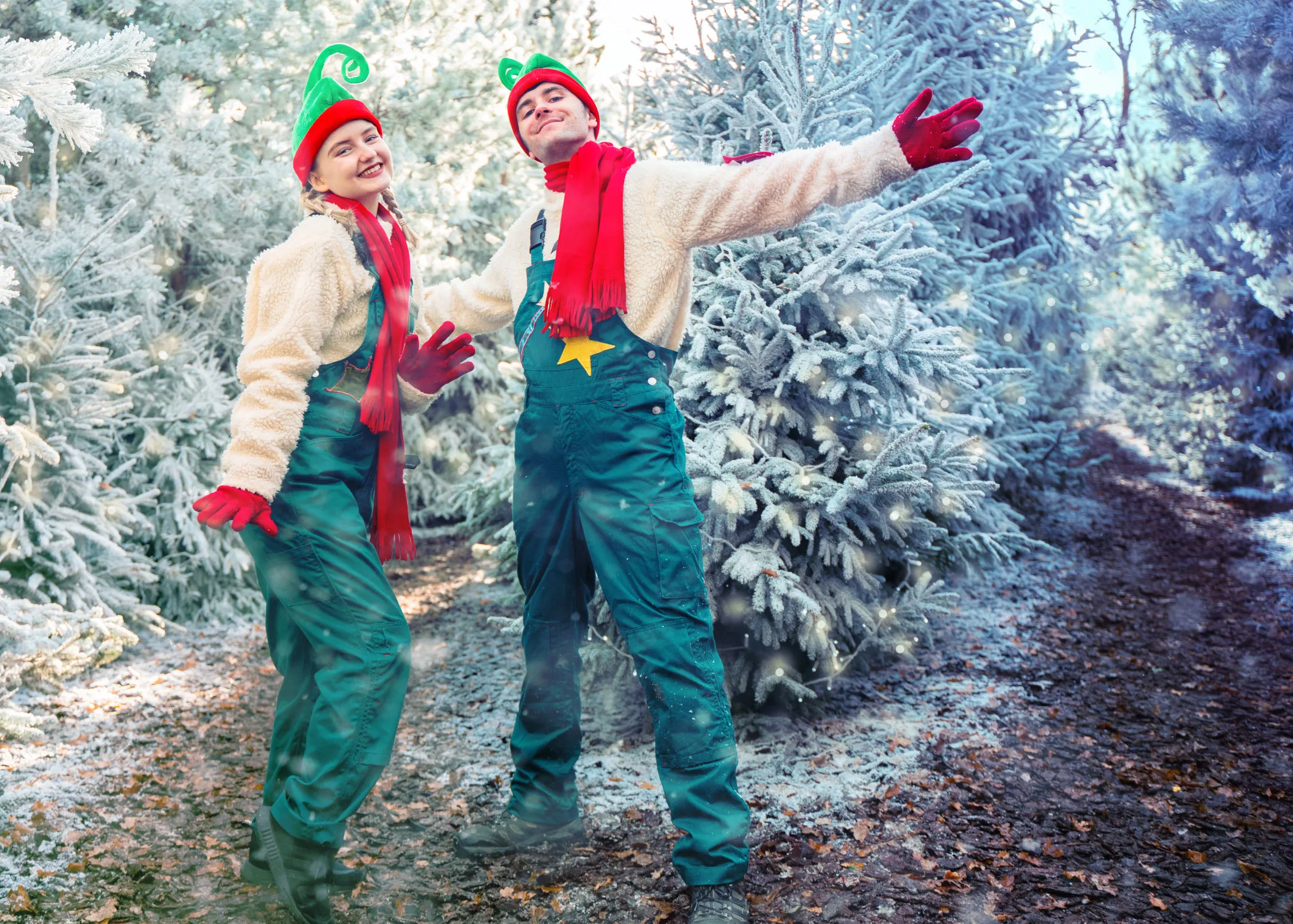 Christmas Elves at Chessington