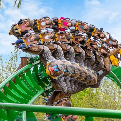 Mandrill Mayhem At Chessington World Of Adven
