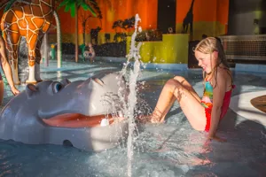 Splashpool - hippo