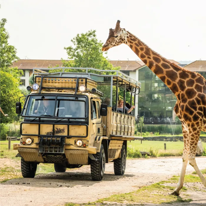 ZUFARI at Chessington World Of Adventures Resort
