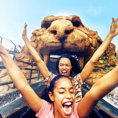 Theme Park Log Flume
